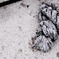 A knot