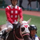 ハートのお馬とお兄さん