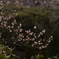 2CA17968-EB88-4516-AB96-CA9CF7C4F679