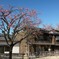 肥後細川庭園