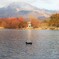 三島池からの伊吹山