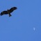 空ですれ違い