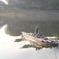 らじこん戦艦大和