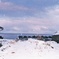 佐渡島の冬