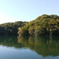 越口の池