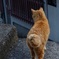 頼もしい背中