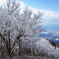 霊山山頂