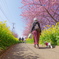 DA 11-18mm f2.8 試し撮り 河津桜と菜の花と散歩する女性
