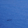 流氷ウォーク