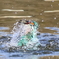 アッというまに浮上