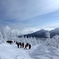 一緒に雪遊びした人々