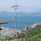 島猫４