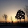 C2823312-DF95-4945-86F1-1EAAD1482817