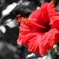 4DB08BF0-B037-497C-96F4-5CBA131809BA