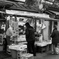 魚屋さん