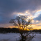 Snowy field