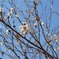 2月の終わり