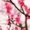 436CBD04-AF80-401A-91EE-654BCCB2E7C7
