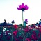 9905A657-3718-4B44-B03E-628203C91630