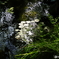 _IGP6250