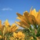 4B154823-B083-44ED-90B2-4409C4B1F6CB