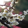 DSCN0322