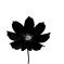 For you.