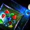 glass  art