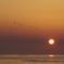 96652B81-B1C4-4D5E-993C-E81F7ECE67BC