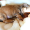 Dreamin・・・