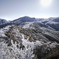 霧氷の山脈