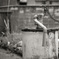 monochrome no.2