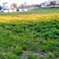 CM190309-170551002~2