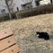 日向ぼっこ