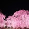 鈴鹿の森庭園