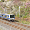 梅まつり電車