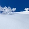 Blue/White