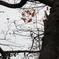 DSCN1641_01