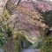 観音様に続く路　②