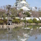 天守閣と大阪城庭園②