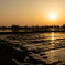 早春田園夕景
