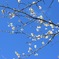 533D0943-7108-4DE2-8733-E172D37CF6DF