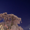 星空と滝桜　2018