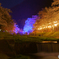 ライトアップ 夜桜　2018