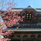 建長寺にて