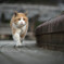 一歩一歩