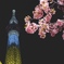 スカイツリーと桜