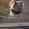 JUMP