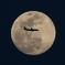 月夜の晩に