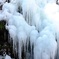 DSCF9172